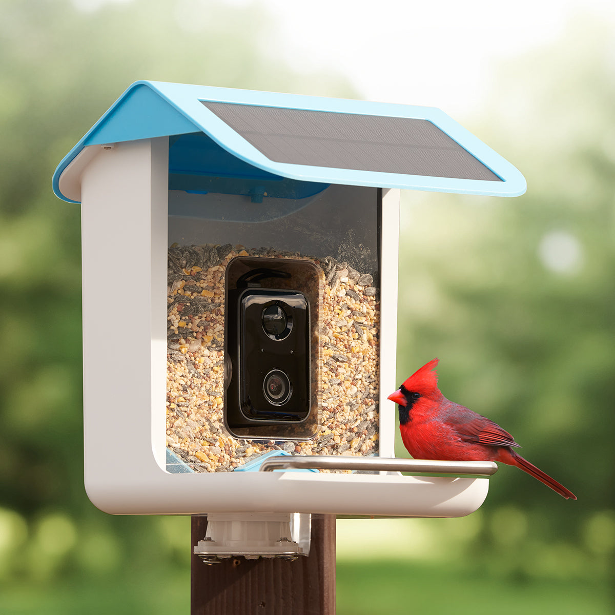 Sharper Image Smart Camera Bird Feeder