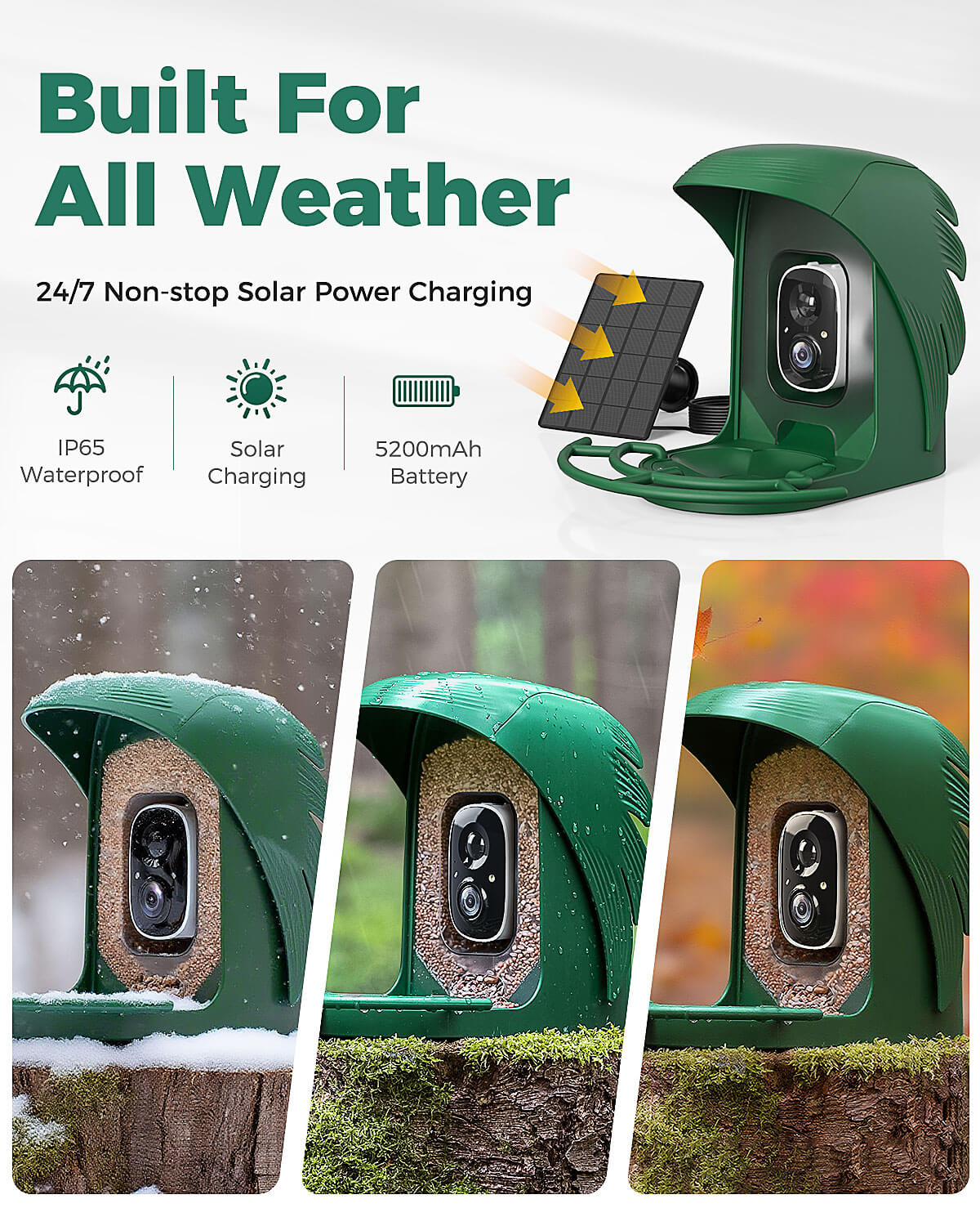PerchMe Smart Bird Feeder with Camera