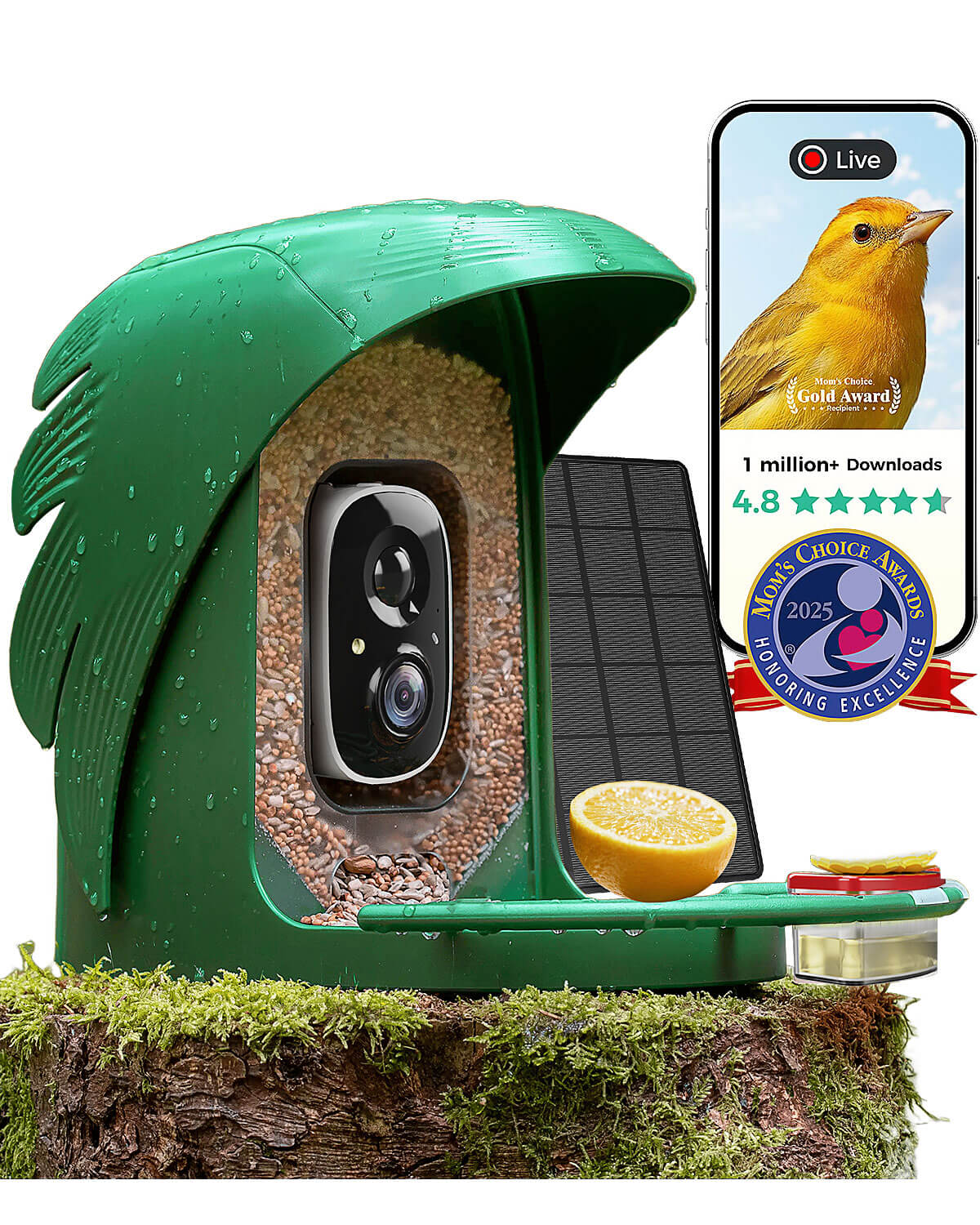 PerchMe Smart Bird Feeder with Camera