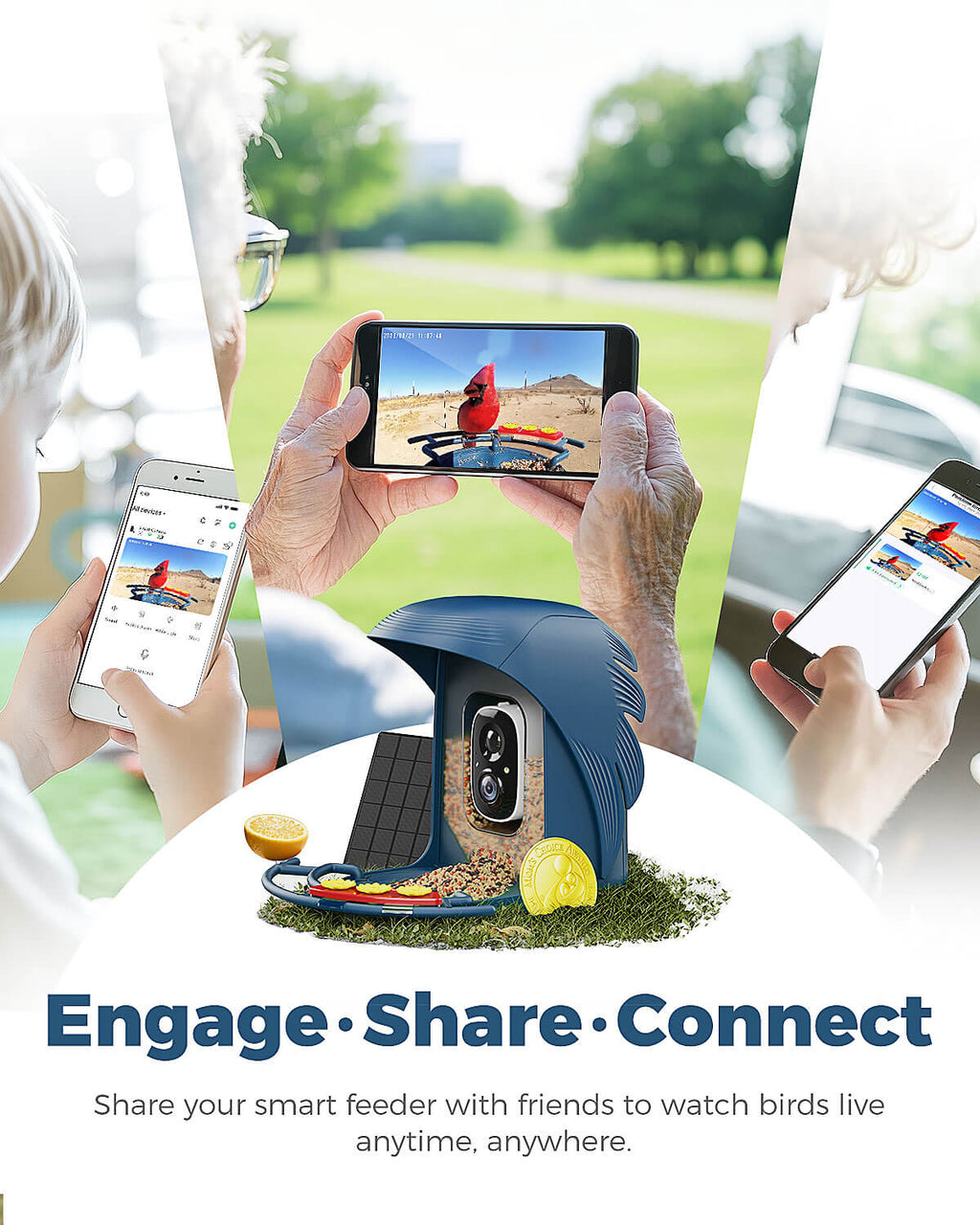 PerchMe Smart Bird Feeder with Camera