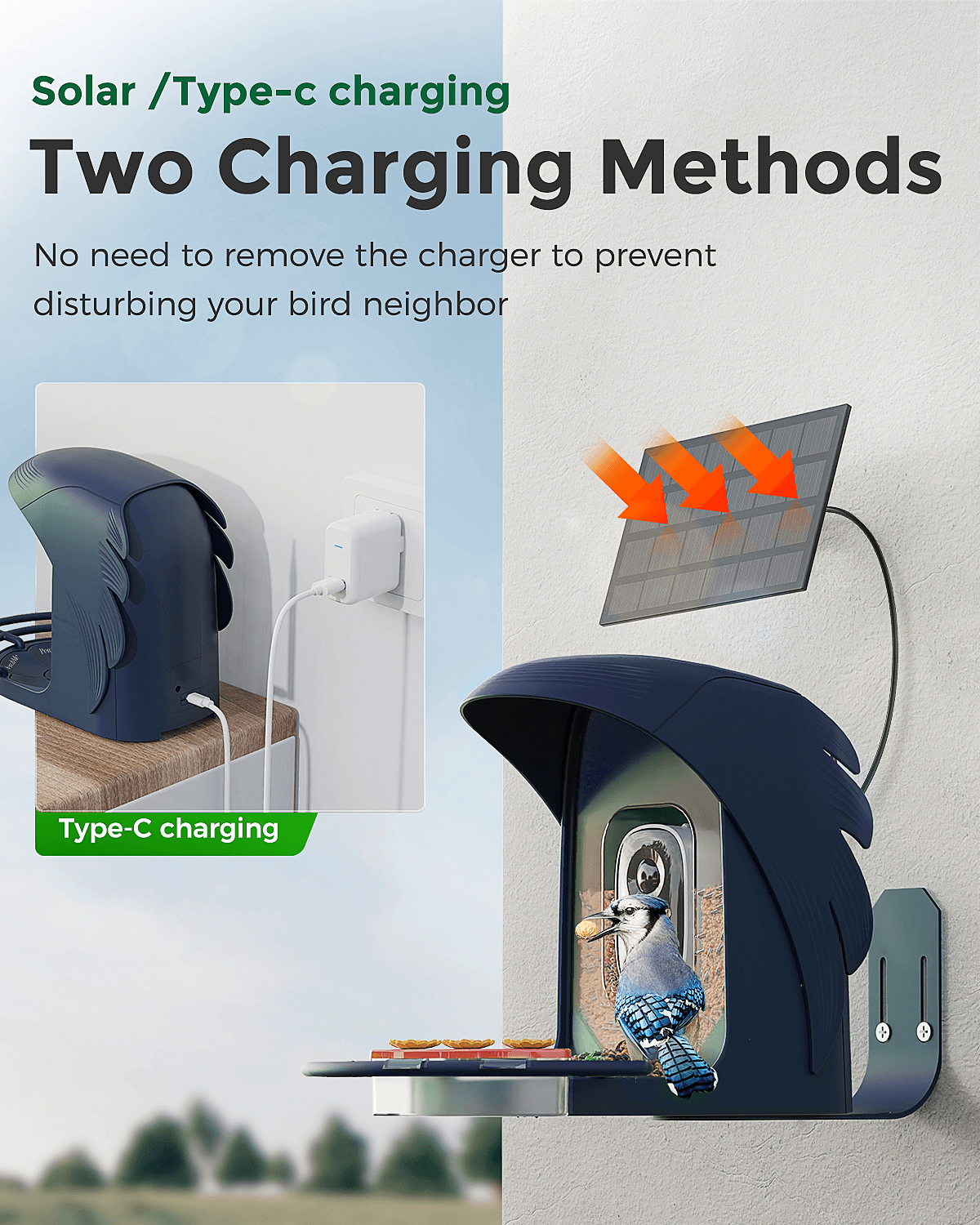 PerchMe Smart Bird Feeder with Camera