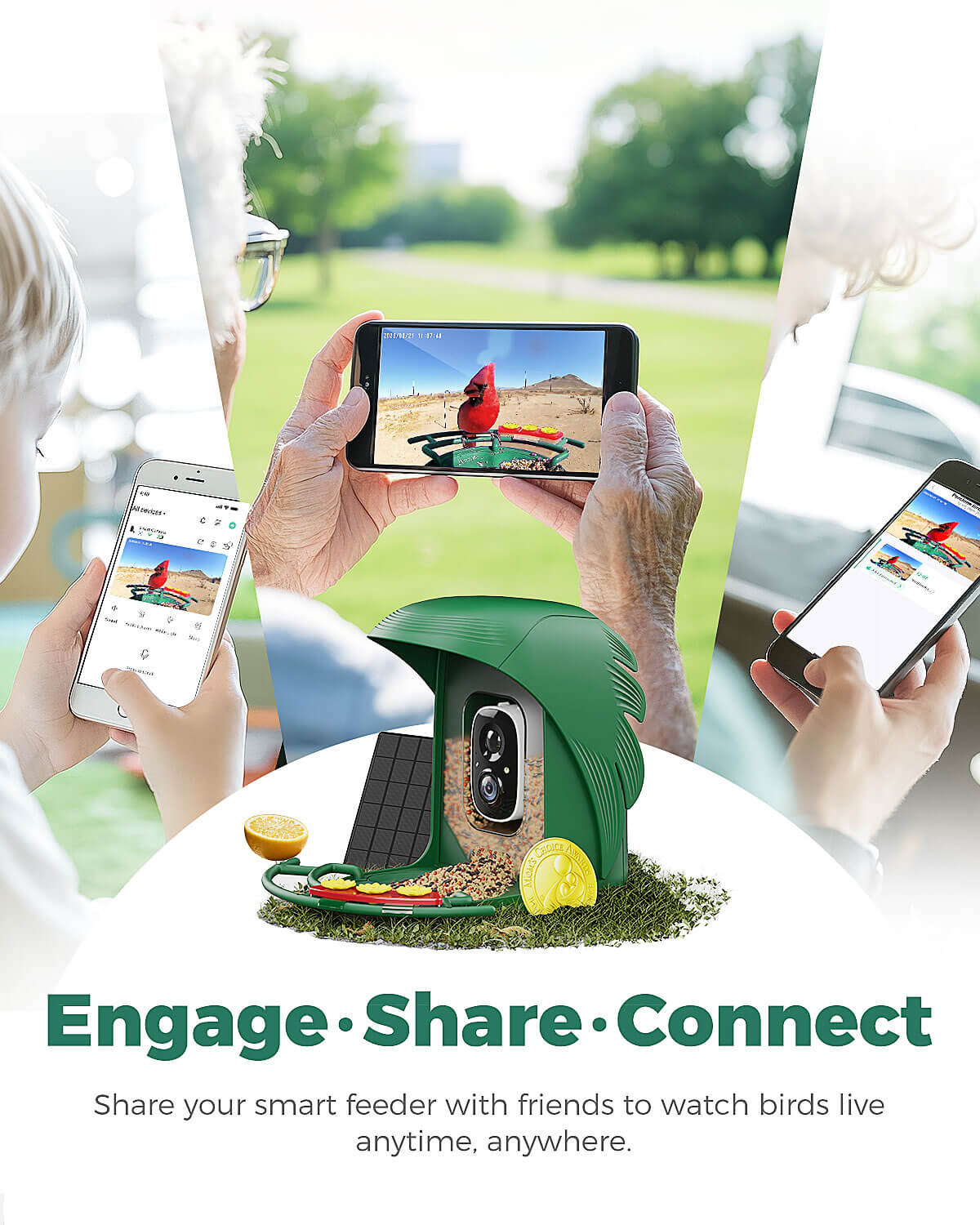 PerchMe Smart Bird Feeder with Camera