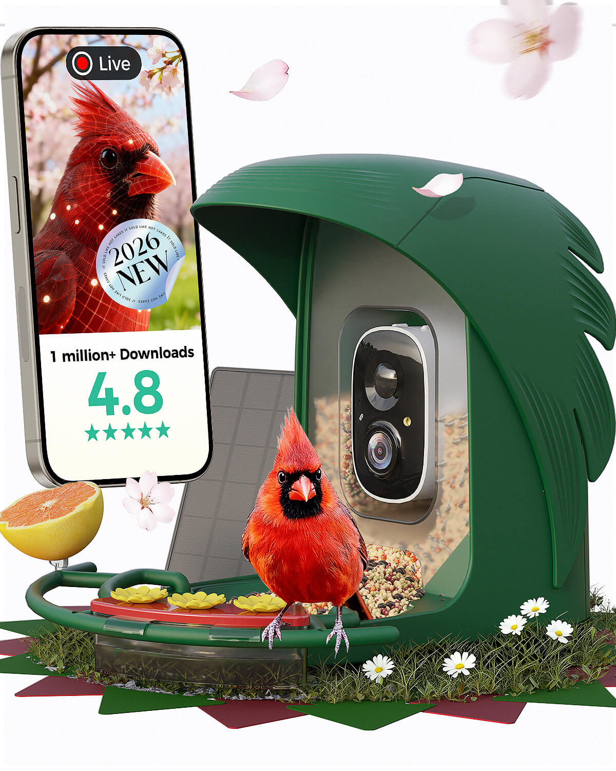 PerchMe Smart Bird Feeder with Camera