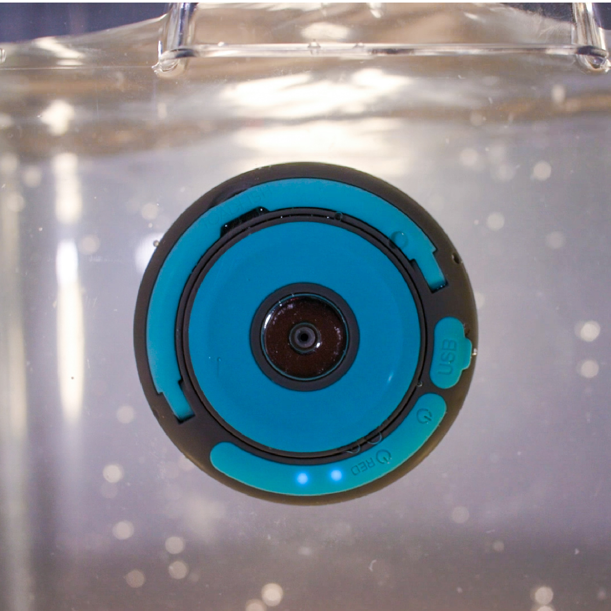 Toadfish LED Camping Lantern