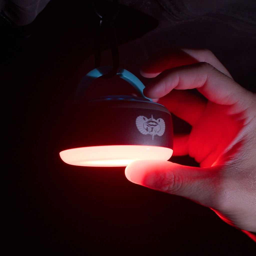 Toadfish LED Camping Lantern