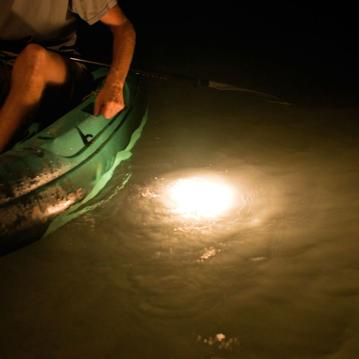 Toadfish LED Camping Lantern