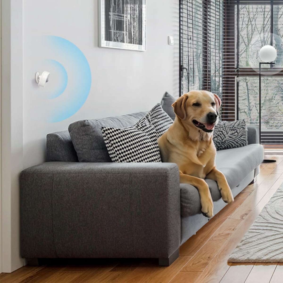 Tapo Smart Motion Sensor
