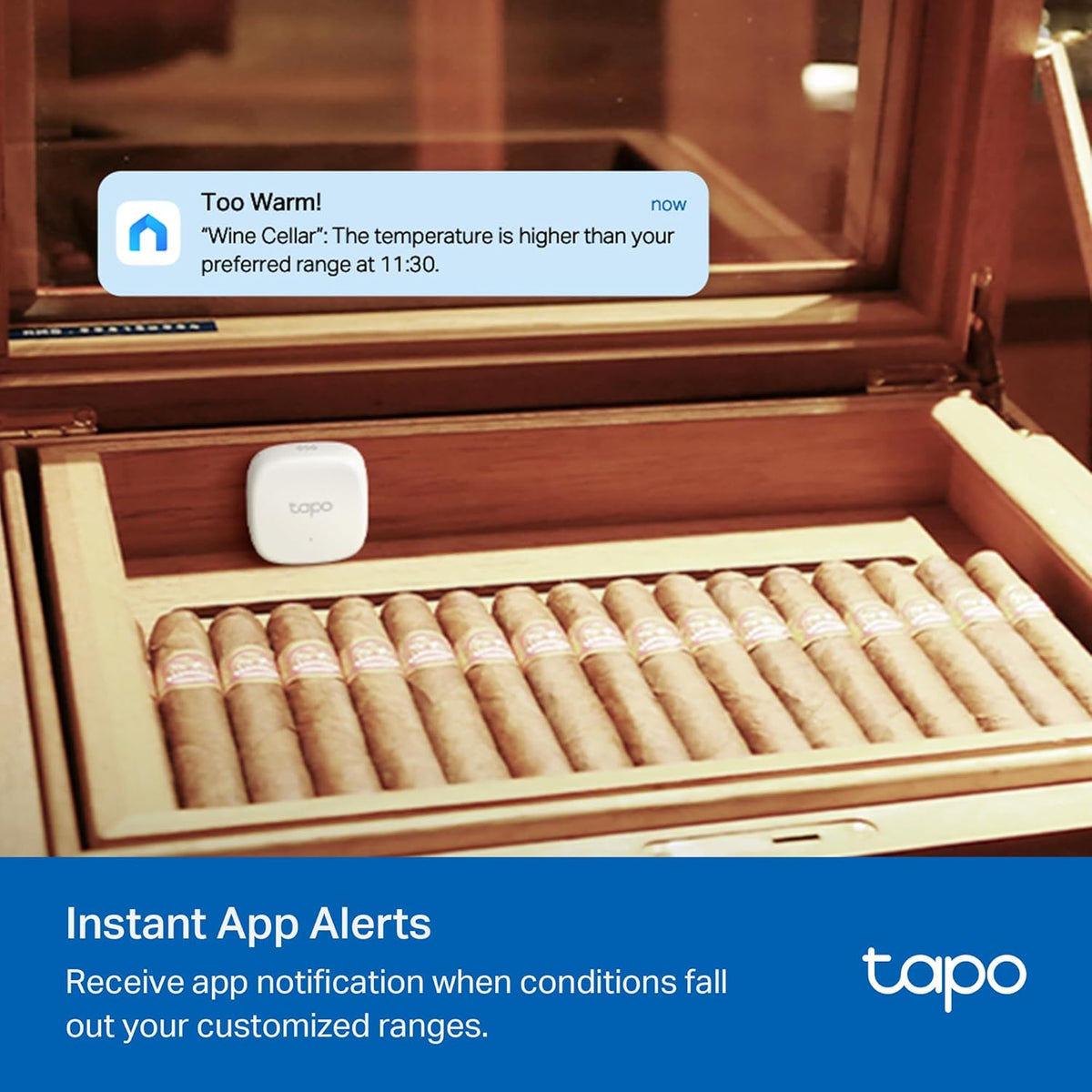 Tapo Smart Temperature and Humidity Sensor
