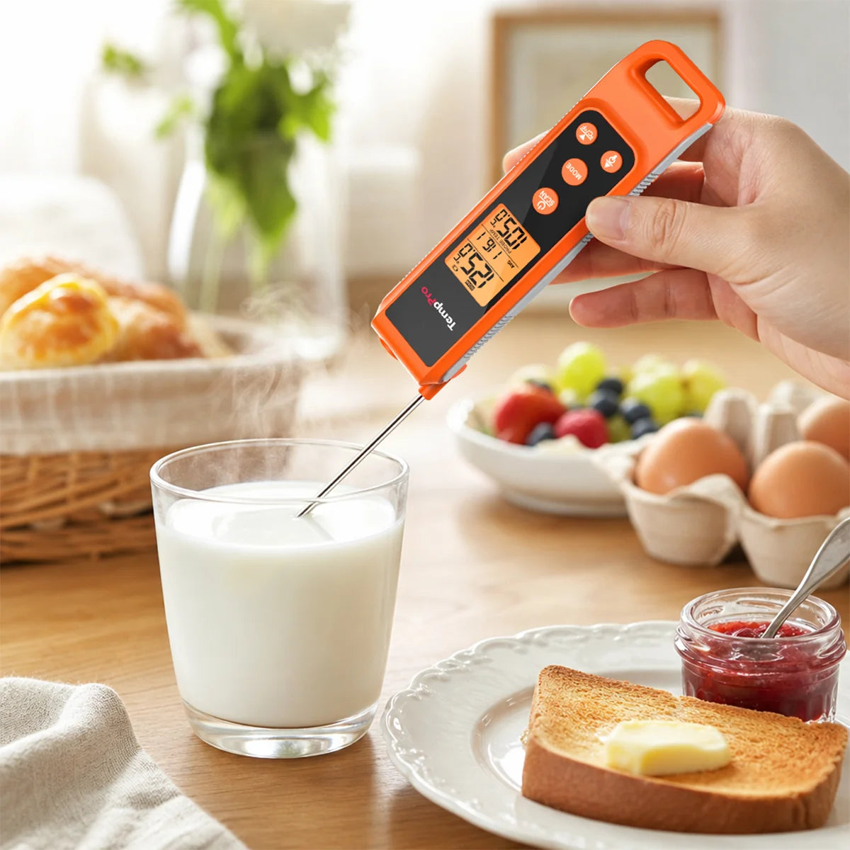 TempPro Infrared and Probe Thermometer