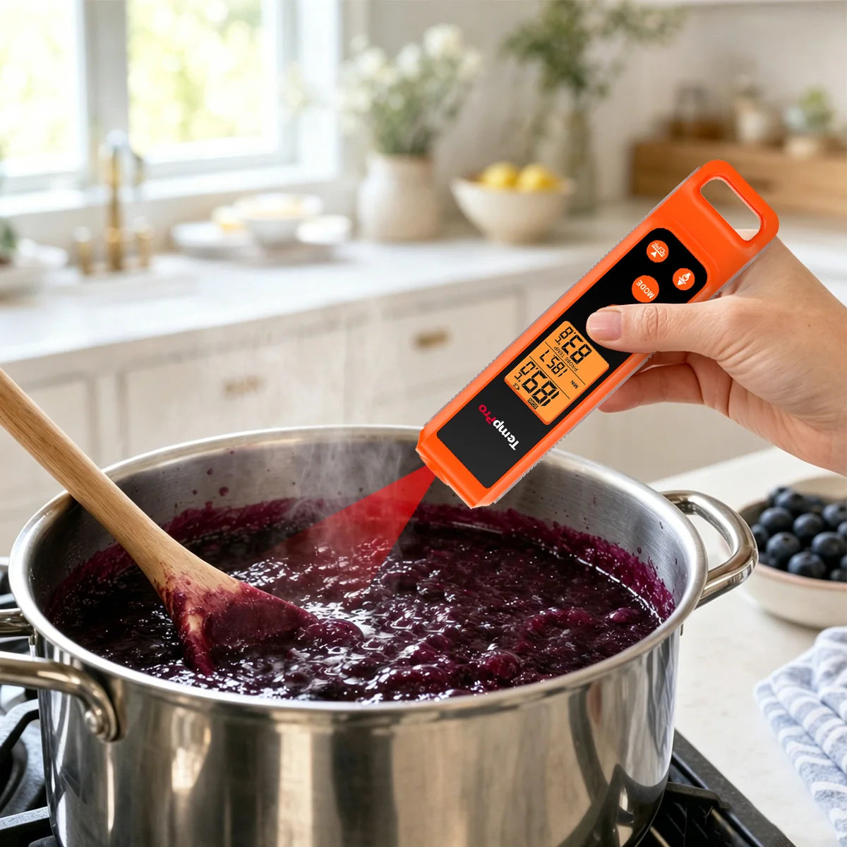 TempPro Infrared and Probe Thermometer