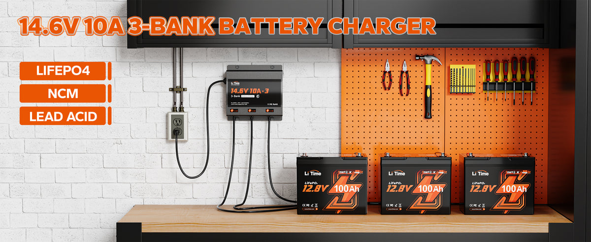 LiTime-US Battery Charger