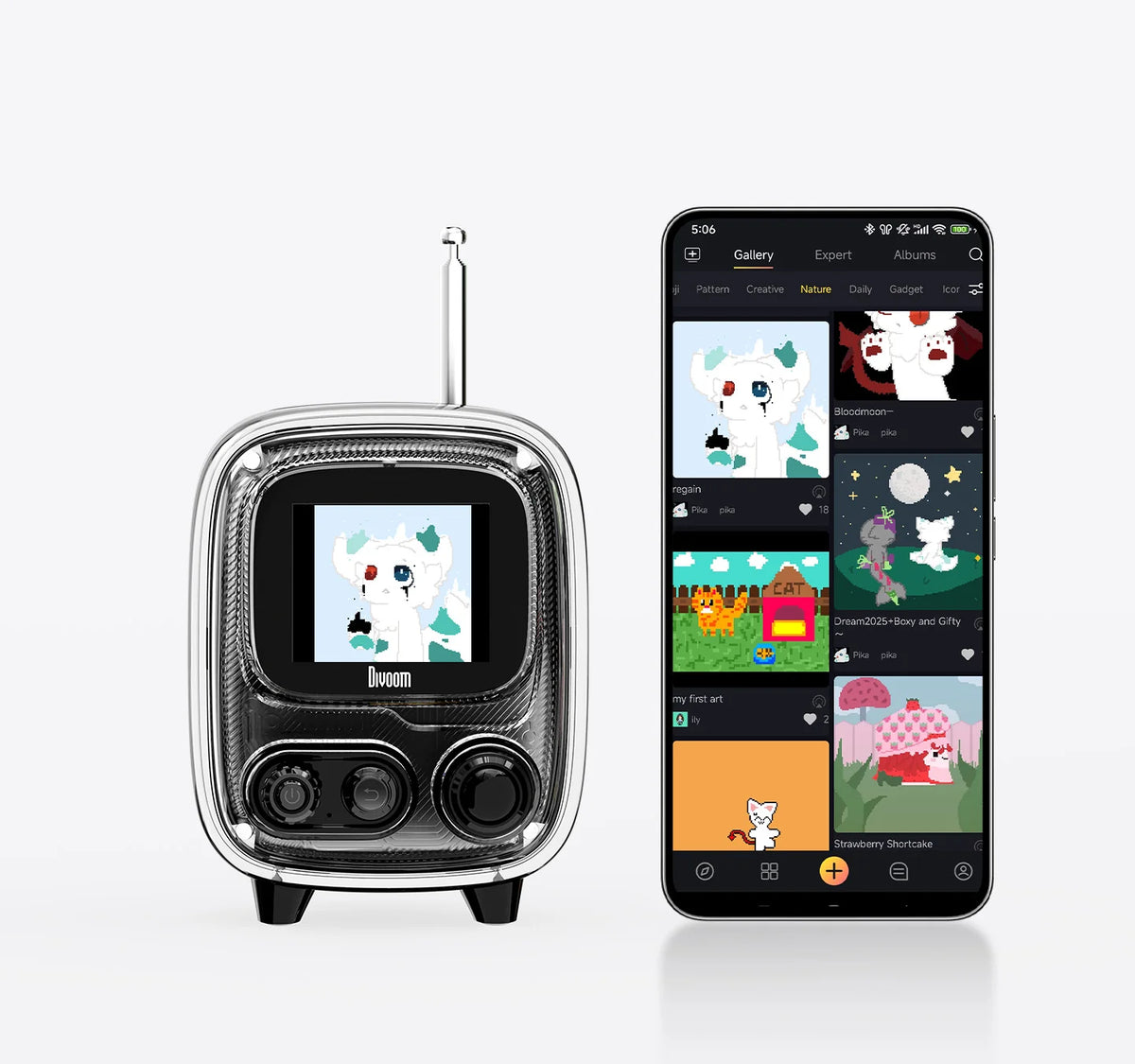Divoom International Portable Bluetooth Speaker