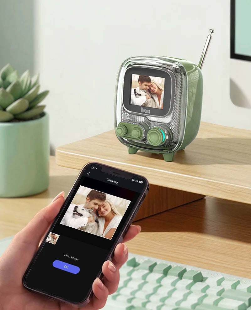 Divoom International Portable Bluetooth Speaker