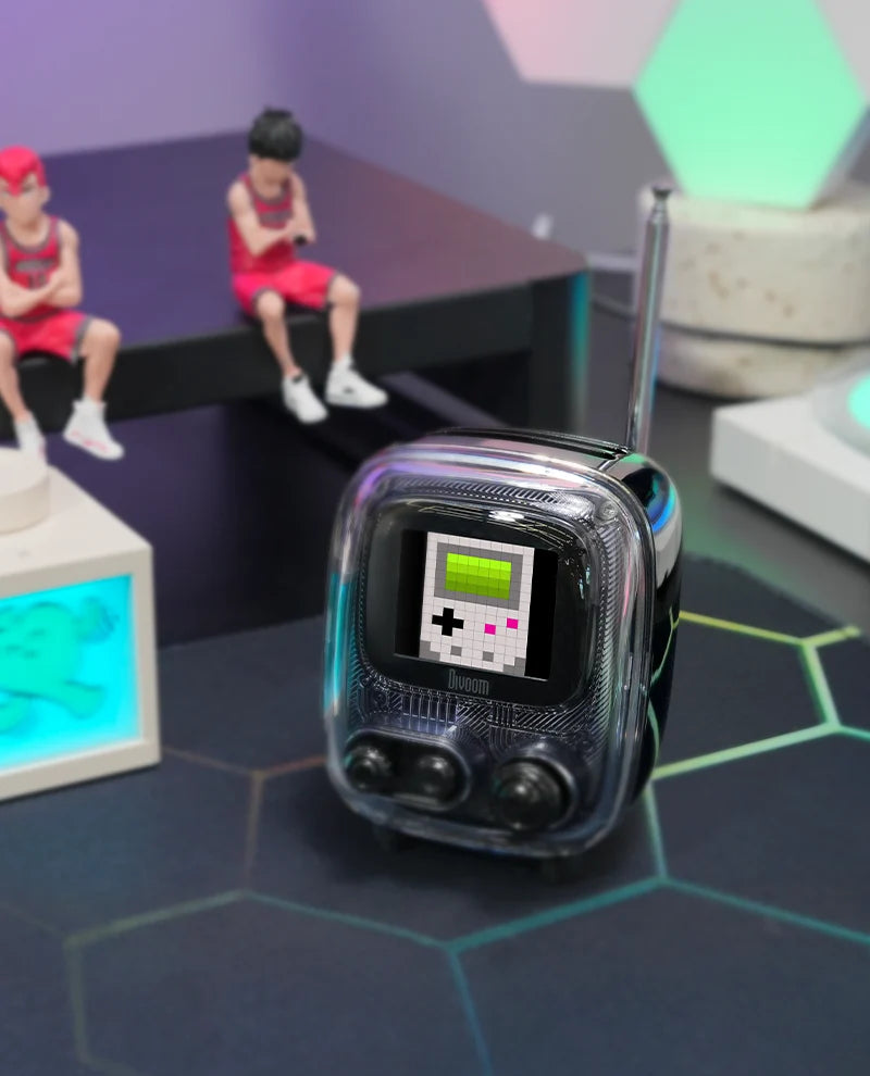 Divoom International Portable Bluetooth Speaker