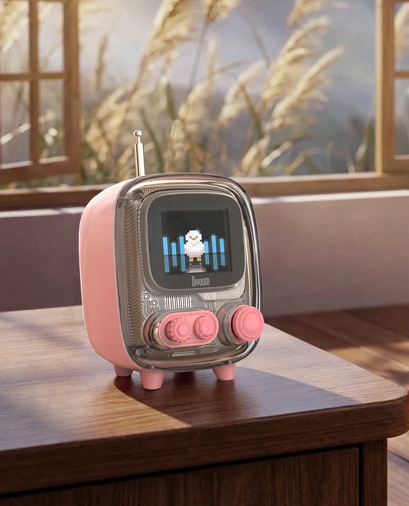 Divoom International Portable Bluetooth Speaker
