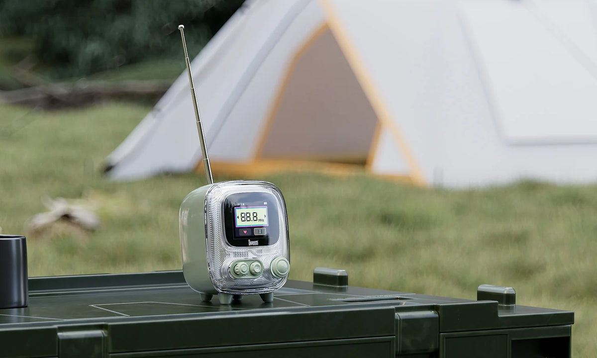 Divoom International Portable Bluetooth Speaker