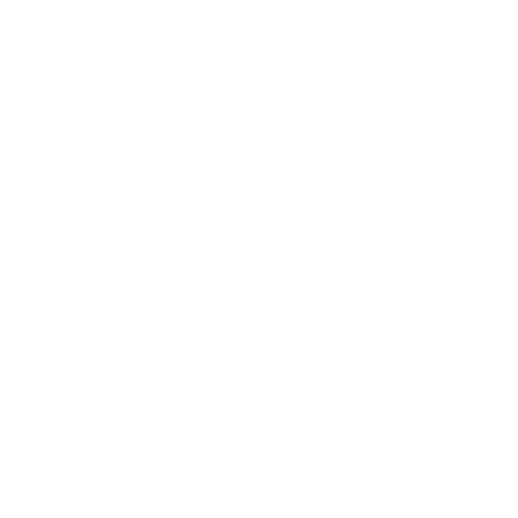 Aqara LLC Smart Deadbolt Lock