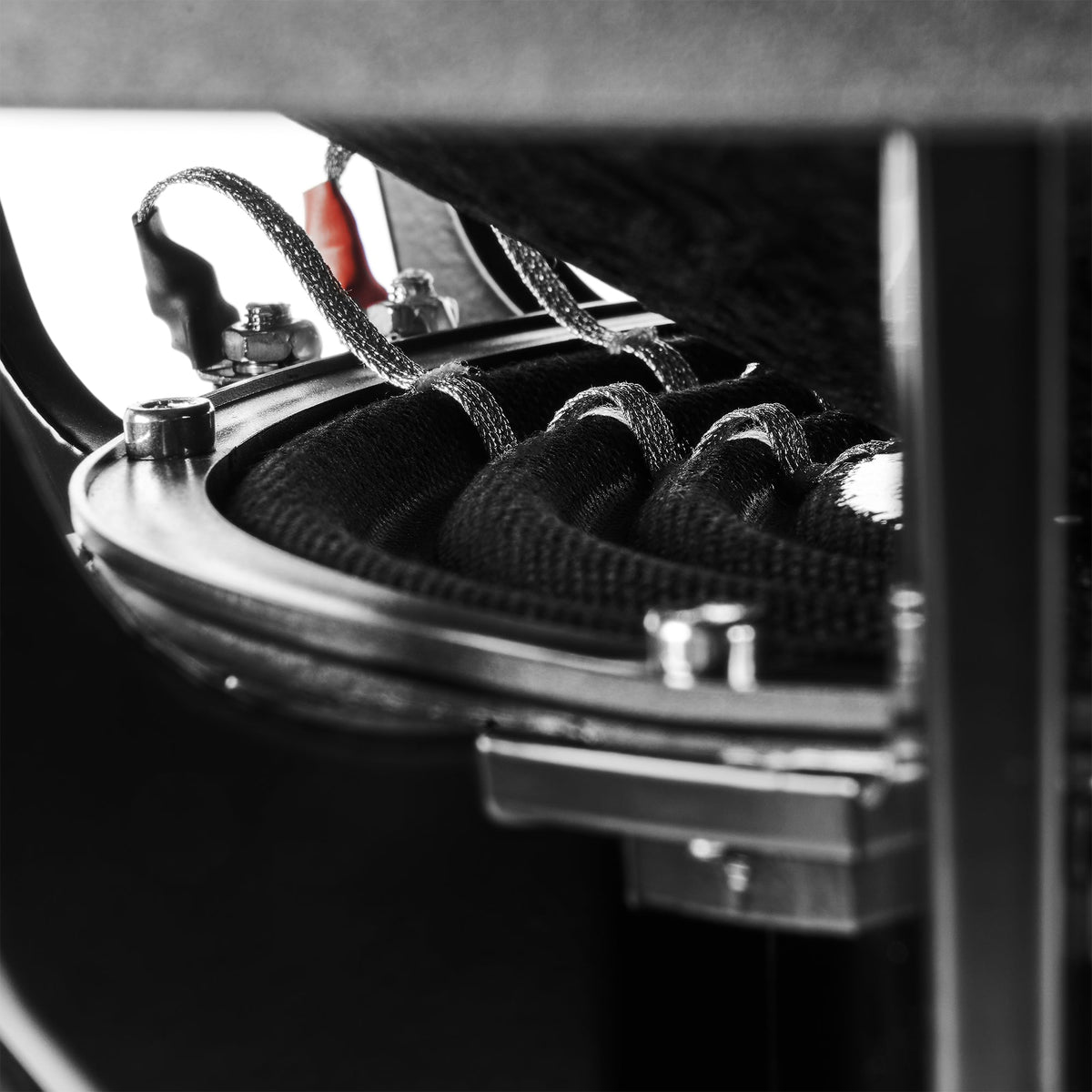 NVX 12-Inch Dual 2-Ohm Car Subwoofer