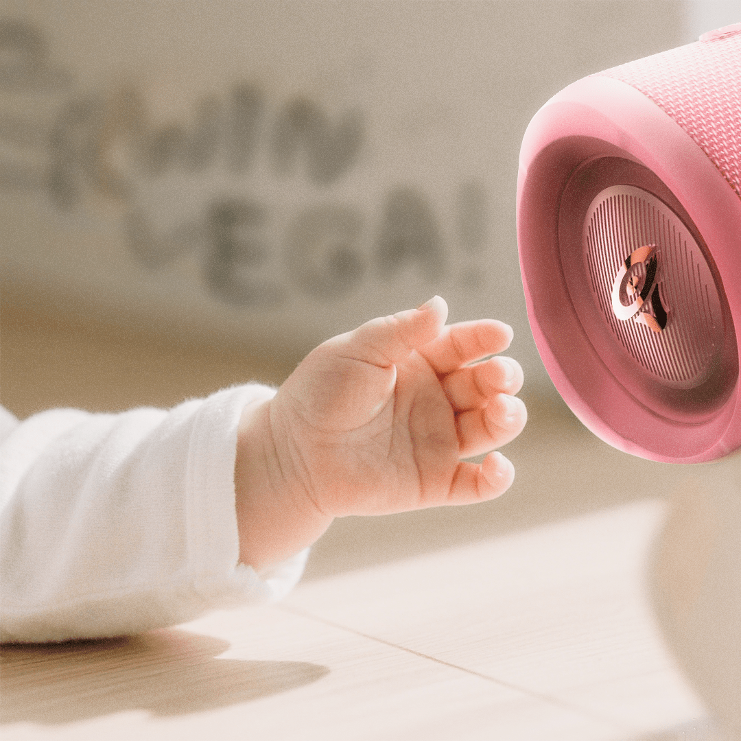 Cerwin Vega Portable Bluetooth Speaker