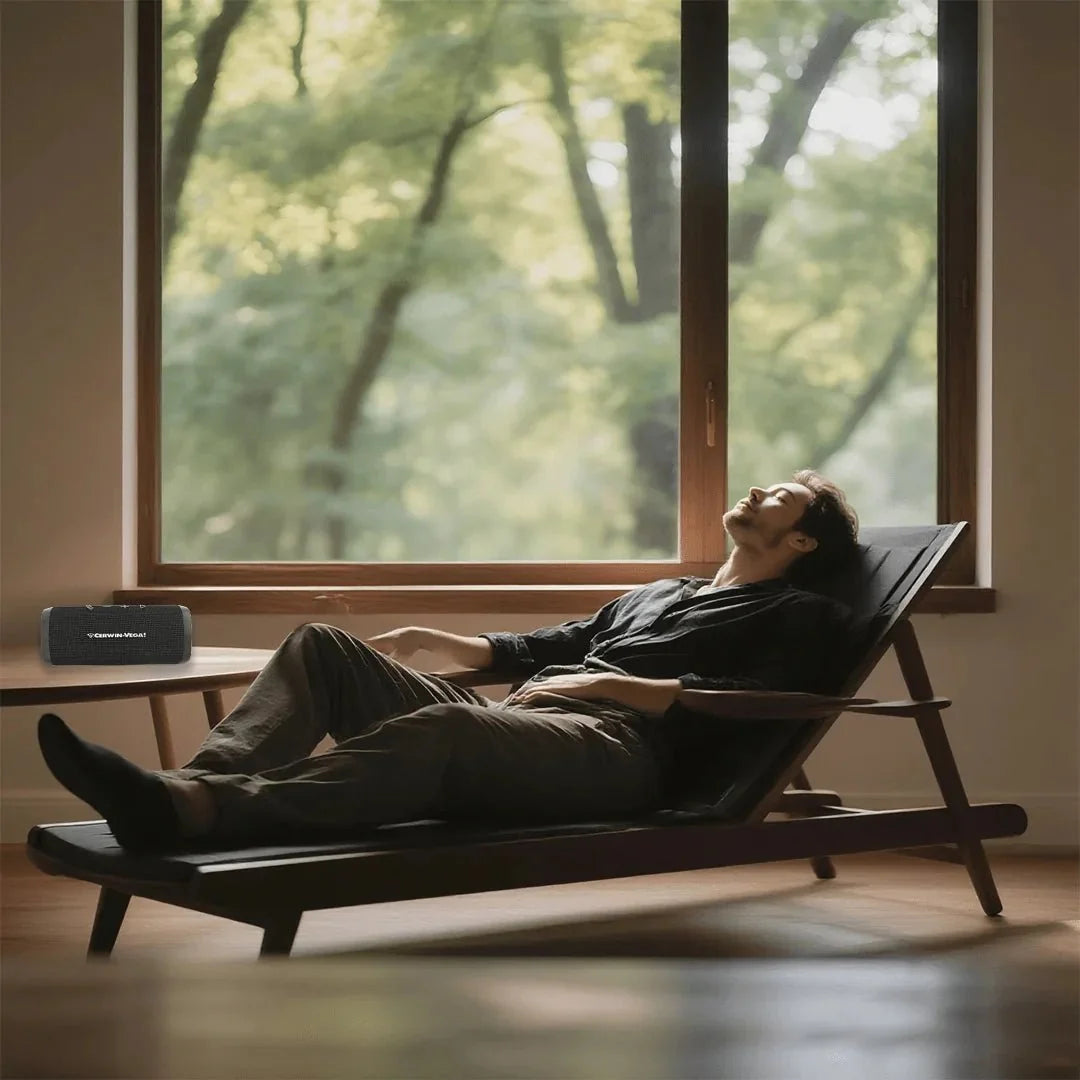 Cerwin Vega Portable Bluetooth Speaker