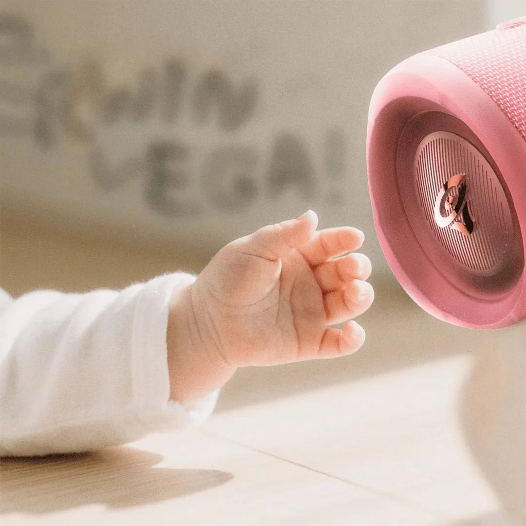 Cerwin Vega Portable Bluetooth Speaker