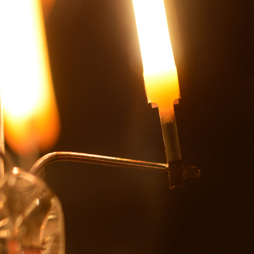 Waveform Lighting A19 Filament LED Bulb