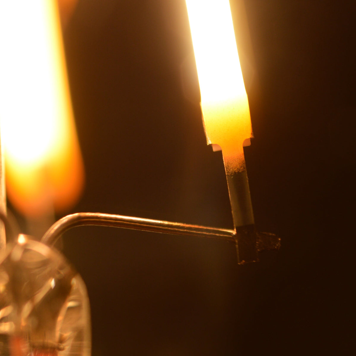 Waveform Lighting A19 Filament LED Bulb