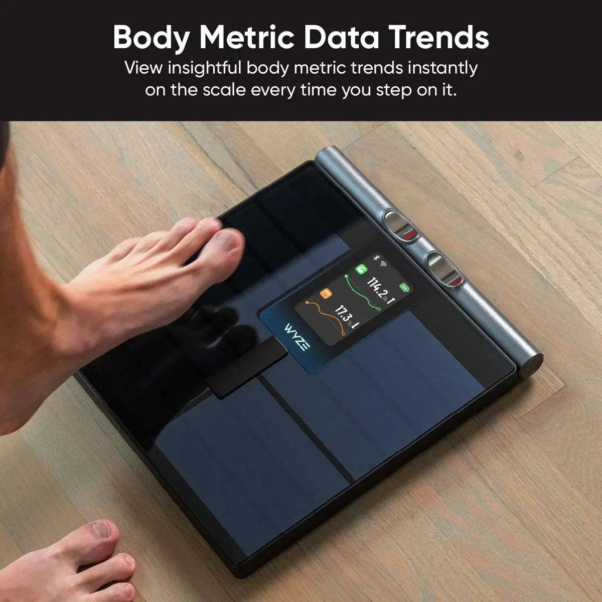 Wyze 8-Electrode Smart Body Fat Scale