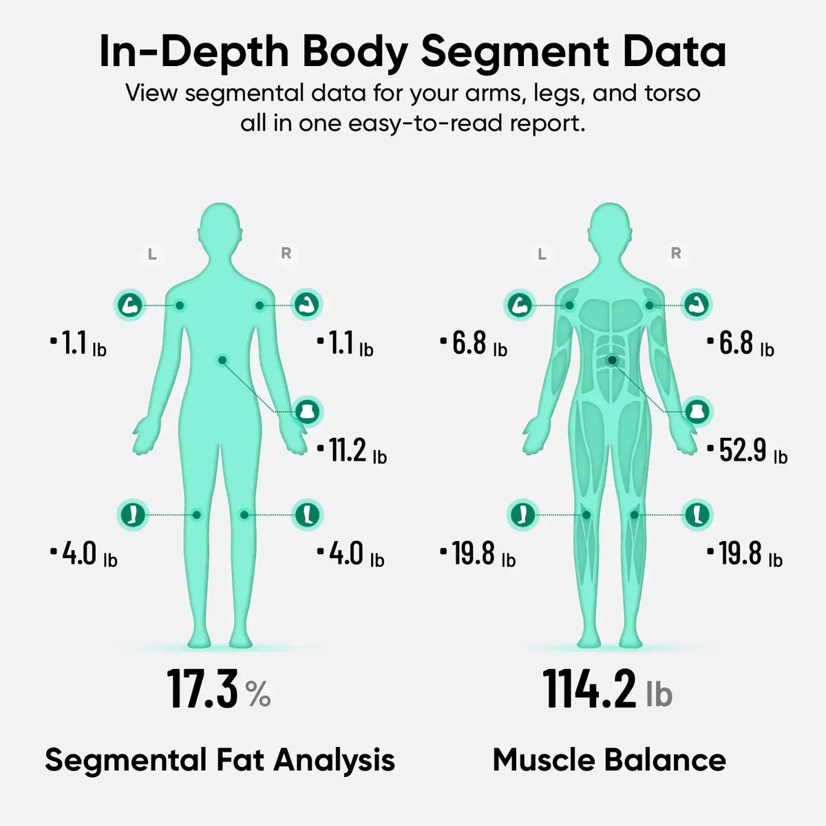 Wyze 8-Electrode Smart Body Fat Scale