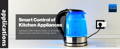 YoLink Smart Energy Plug